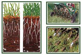 Lawn Core Aeration Techniques