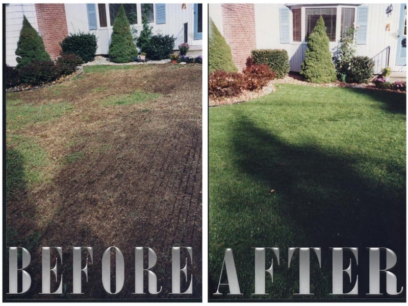 Overseeding Lawns, Overseeding a Lawn, Lawn Seeding